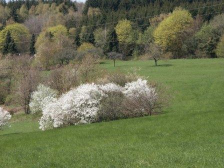 Park Schoenwies Waldhoelzbach