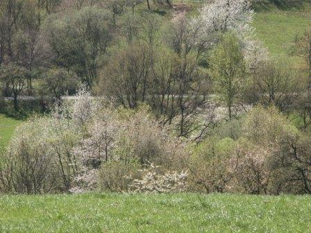 Park Schoenwies Waldhoelzbach